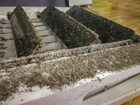 The key to mold prevention is simple: How to Prevent Mold Growth in Your HVAC System