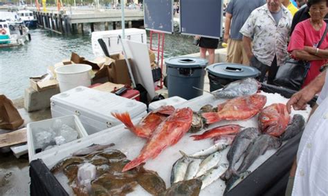 San Diego Dockside Fish Market Attracts Hundreds On First Day The