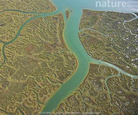 Stock Photo Of Aerial View Of River Tributaries Saltmarsh And Coast