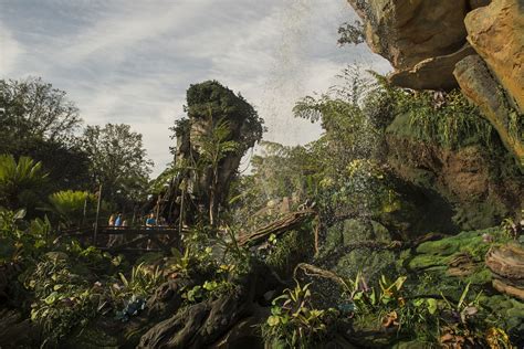 The Best Things To To Do At Pandora The World Of Avatar