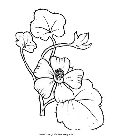 Colora online con un gioco da colorare disegni di natura e potrei dividi e creare la tua propria galleria di disegni online. Disegno fiori_fiore_023 categoria natura da colorare