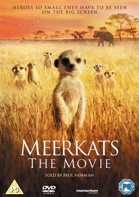 The Meerkats 2008 Watch Full Movies Online Filesgarage