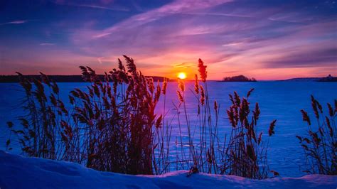 Winter Sunset 4k Ultra Hd Wallpaper Background Image