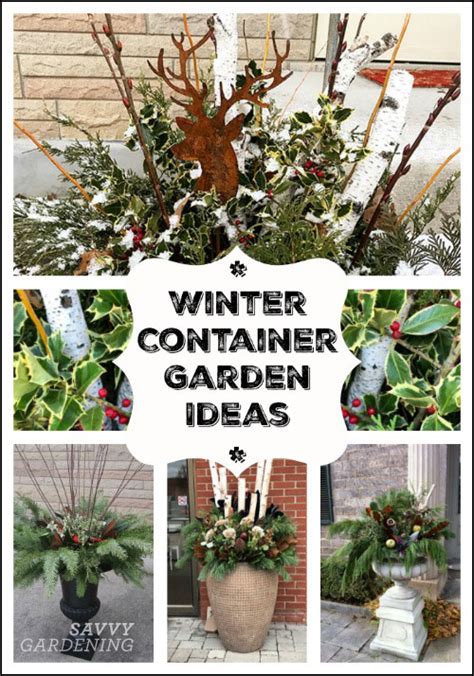 Outdoor Winter Container Garden Ideas And Inspiration