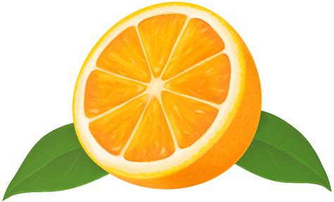 Download High Quality Orange Clipart Half Transparent Png Images Art