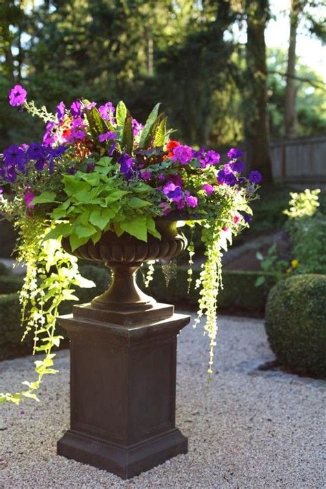 My Enchanting Cottage Garden Container Gardens