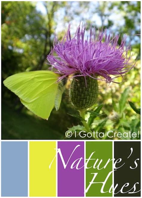 I Found That The Thistle Is An Ancient Celtic Symbol Of Nobility It