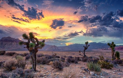 Wallpaper Usa Sky Desert Landscape Nature Sunset Mountains