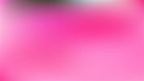 Free Rose Pink Blank Background Vector Illustration