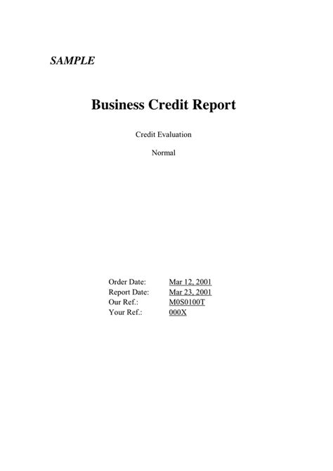 Sample Credit Report Download Free Documents For Pdf Word And Excel
