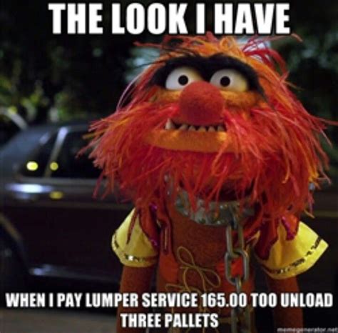 48 Best Animal Muppet Quotes Images On Pinterest