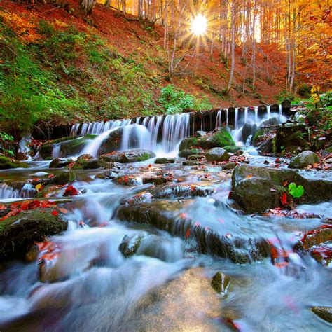 Beautiful Waterfall In Forest At Sunset Stock Photo Image Of Fantasy