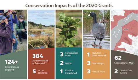 Pacific Birds Us Partnership Grants Pacific Birds Habitat Joint Venture