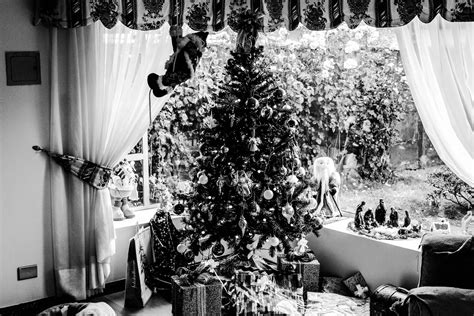 Free Images Black And White Christmas Balls Christmas Decor
