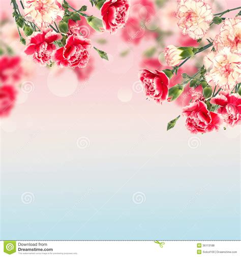 Get high quality floral background for your phone, desktop or website hd to 4k image quality no attribution required download for free! Postcard With Elegant Flowers And Empty Place For Your ...