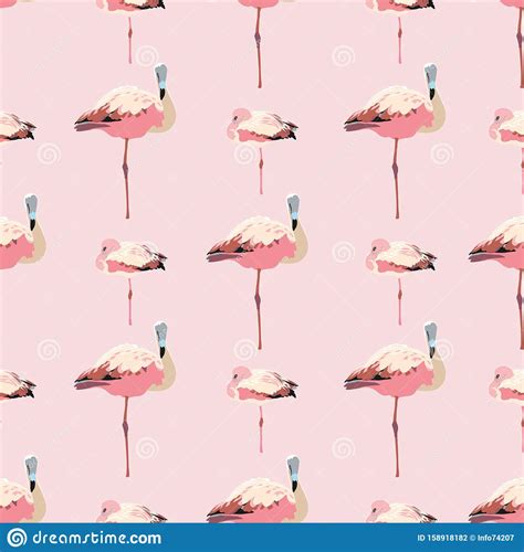 Elegant Pink Flamingo Pattern Stock Vector Illustration Of Happy