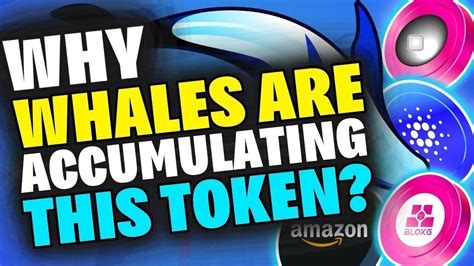 Why Whales Are Accumulating This Token Polygon Zkevm Launch Cardano