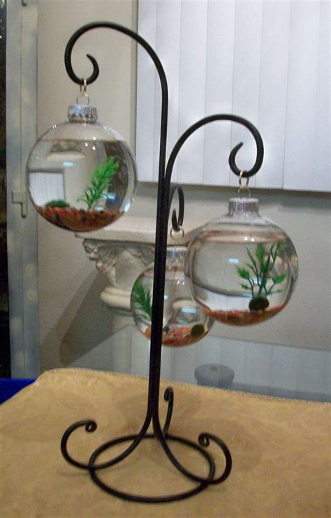 Next, scoop some of the tank water into the bag with the fish in it. unique betta fish tank ~ art projects art ideas