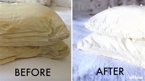 Always wash your mattress protector before and after guests visit. How to Clean Bed Pillows - YouTube