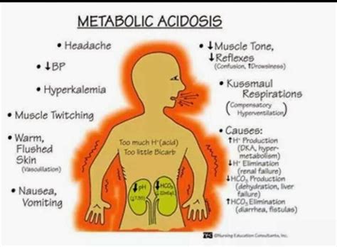 Metabolic Acidosis Vs Metabolic Alkalosis Metabolic Alkalosis Vs