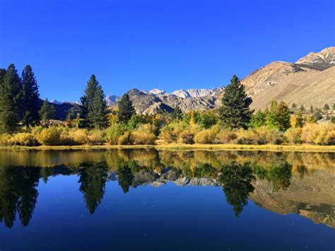 Finding Fall Colors In Bishop California No Back Home