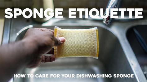 Sponge Etiquette How To Care For Your Dishwashing Sponge Youtube