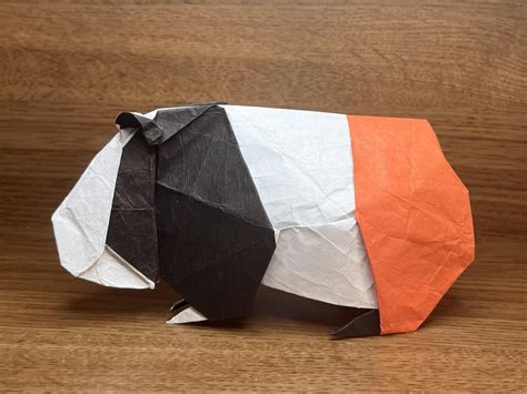 Guinea Pig Designed By Nicolas Gajardo Henriquez Rorigami