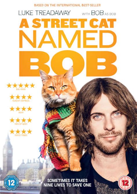 As far as we can tell, at least. A Street Cat Named Bob DVD | Zavvi