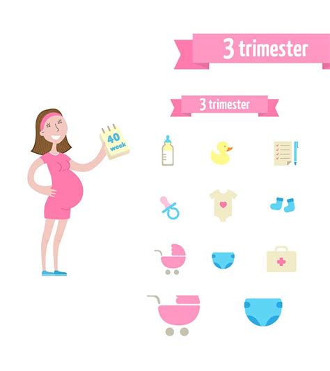 The Third Trimester Of Pregnancy Guide And What To Expect AbooBaby Com