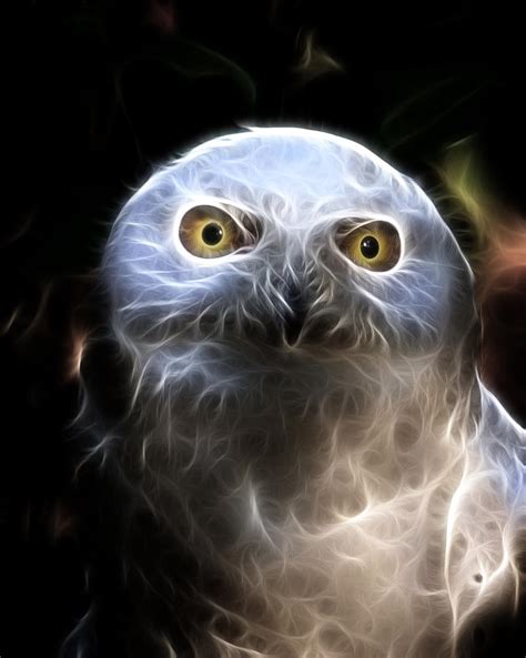 Flaming Snow Owl Photograph By Steve Mckinzie