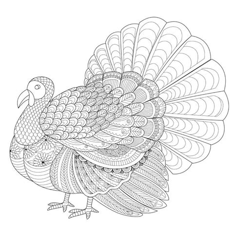Zentangle Chicken For Coloring Book For Adult Stock Vector
