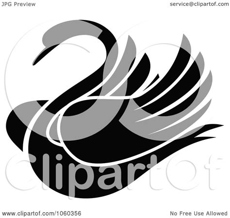 Royalty Free Vector Clip Art Illustration Of A Black And White Swan
