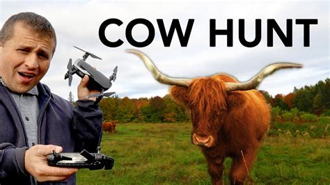 Using Drones To Find A Cow Youtube