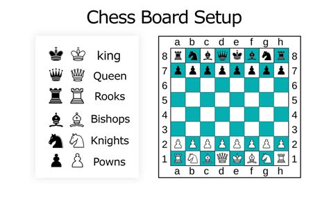 Chess Board Setup How To Set Uo Chess Board Cyruscrafts