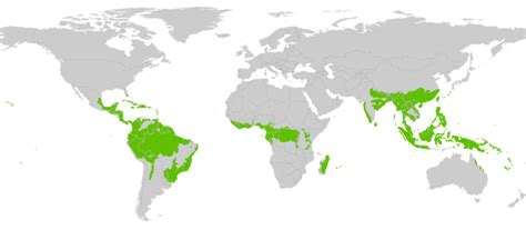 Tropical Forest Map Of Tropical Forest