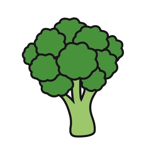 Broccoli Png Transparent Image Download Size 582x598px