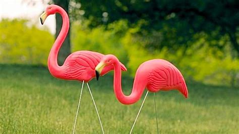3 Ways To Use Lawn Flamingos Diy Ways