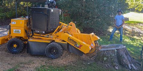 Stump Grinding And Tree Stump Removal Licensed And Insured