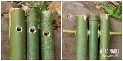 Browse our bamboo trellis images, graphics, and designs from +79.322 free vectors graphics. How to Build a Bamboo Trellis for your Garden - Attainable ...