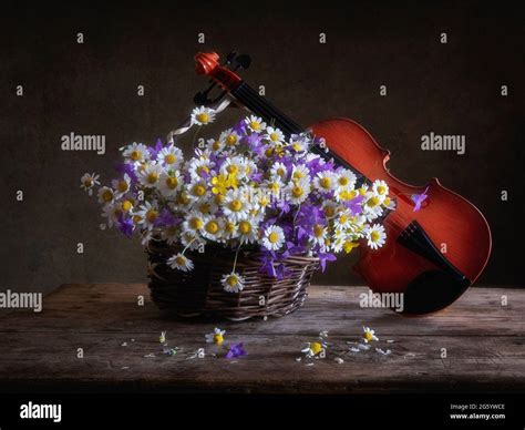 Still Life With Bouquet Of Wildflowers And Violin Stock Photo Alamy