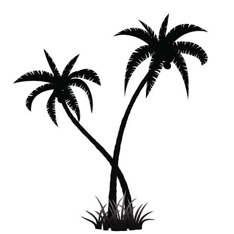 Two Palm Trees Illustrations Royalty Free Vector Graphics And Clip Art