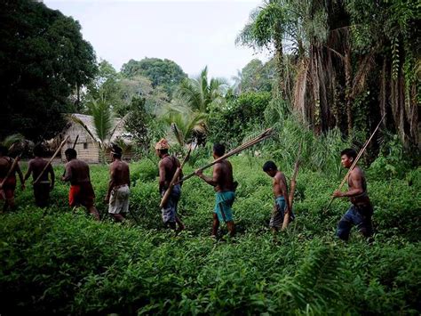 amazon watch defying brazilian government indigenous group proceeds with demarcation of