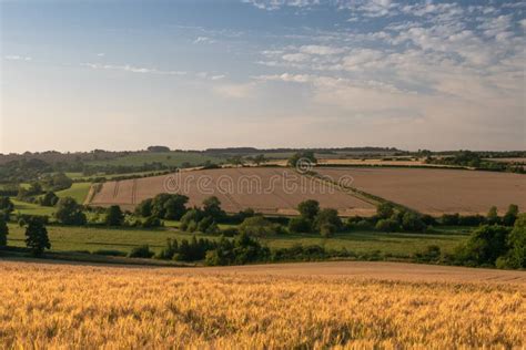View Over Fields And Rolling Hills In English Countryside During Summer