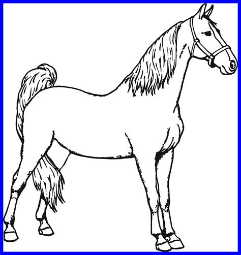 Horse Coloring Pages Online At Getcoloringscom Free Printable