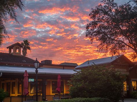 Sunrise Over Tierra Del Sol Bar And Grill Villages