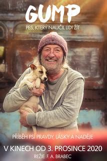 🧡🐕 doufáme, že stejně jako my, navštívíte kino a nenecháte si ujít tento nádherný film 🤗🙏🏻 Gump - pes, který naučil lidi žít (2020) | DOKINA.CZ