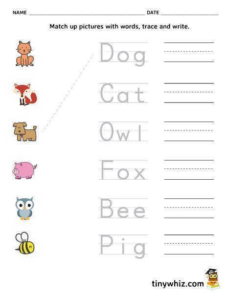 Free Printable Spelling Worksheet Match Trace Write Words Spelling