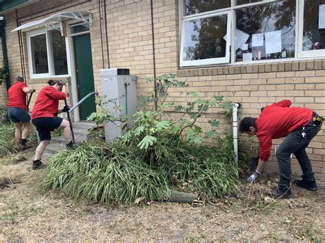 Backyard blitz was a logie award winning australian lifestyle and diy television program that aired on the nine network between 2000 through to 2007 before its cancellation. 'Bunnings Backyard Blitz' at GEKA Centre Road Kindergarten ...