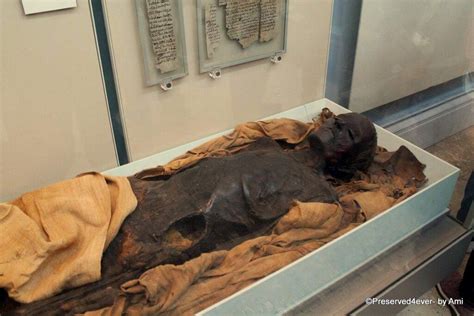 Mummy At The British Museum Thrilling Travel