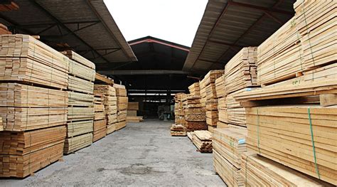 Kayu ulin merupakan salah satu jenis kayu indonesia yang dapat dijadikan sebagai material pembuat kapal yang berasal dari kalimantan dan sumatra bagian selatan. 6 Cara Mengawetkan Kayu! Rayap Dijamin Pergi